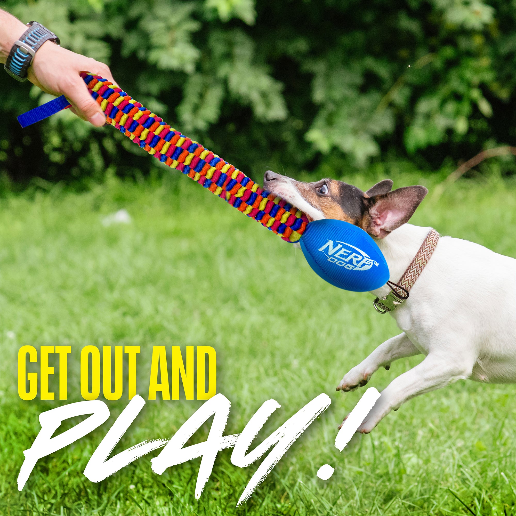 Rainbow Vortex Tug Toy – Tough & Colorful
