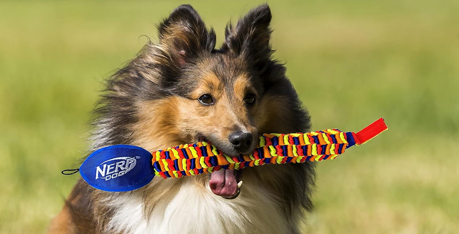 Playtime Just Got Brighter!