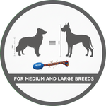 For Medium and Large Breeds