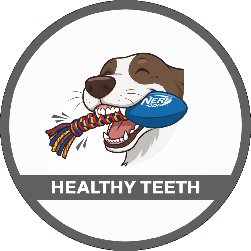 Healthy Teeth