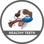 Healthy Teeth