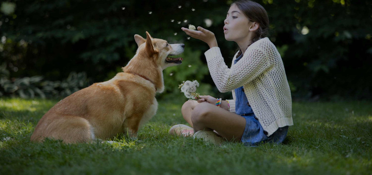 Making Playtime Special Every Time