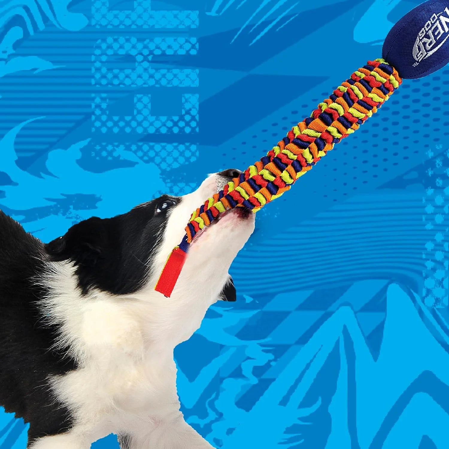 Rainbow Vortex Tug Toy – Tough & Colorful
